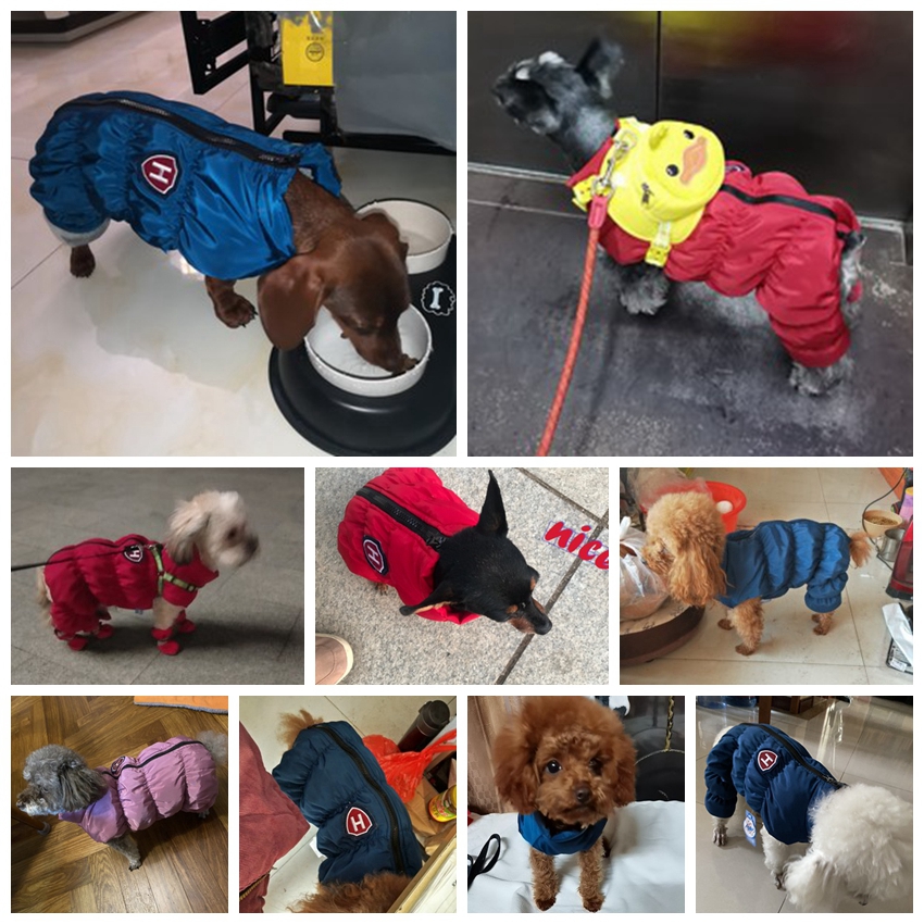 Zipper Snow Unisex Dog Waterpr - огляд і ціна Baby Clothing Winter